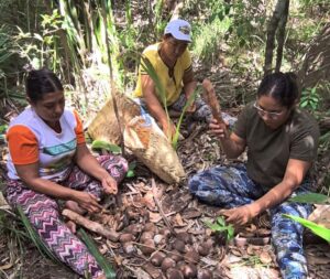 Quebradeiras de Coco