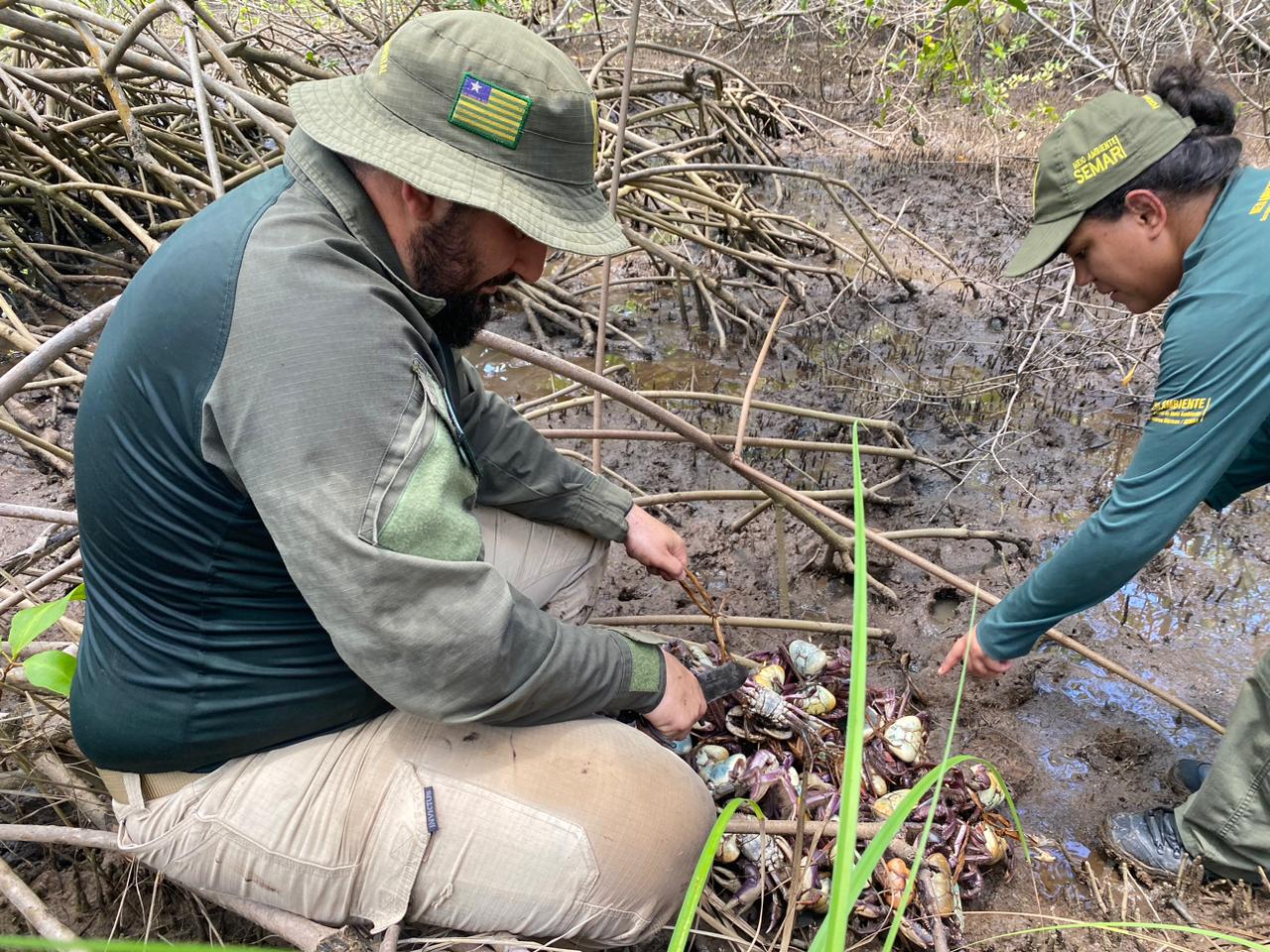 Fiscalização no período de defeso