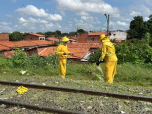 Limpeza urbana em Teresina