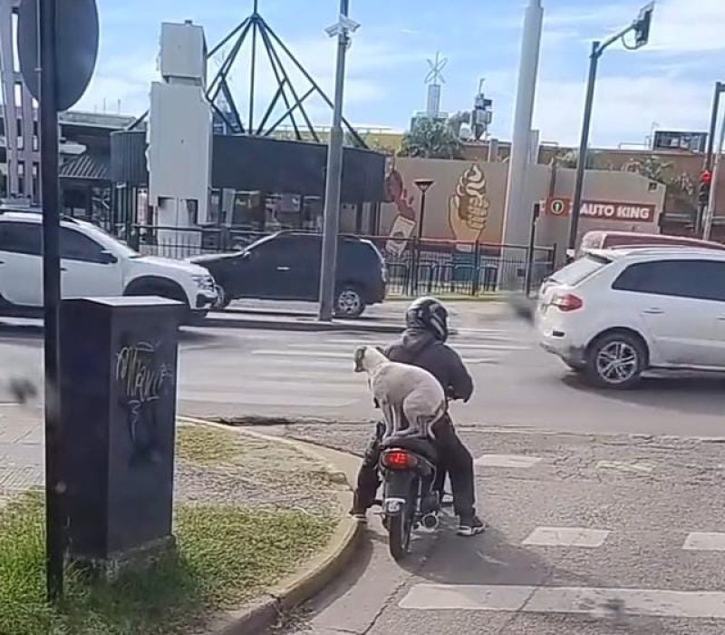 1000059124