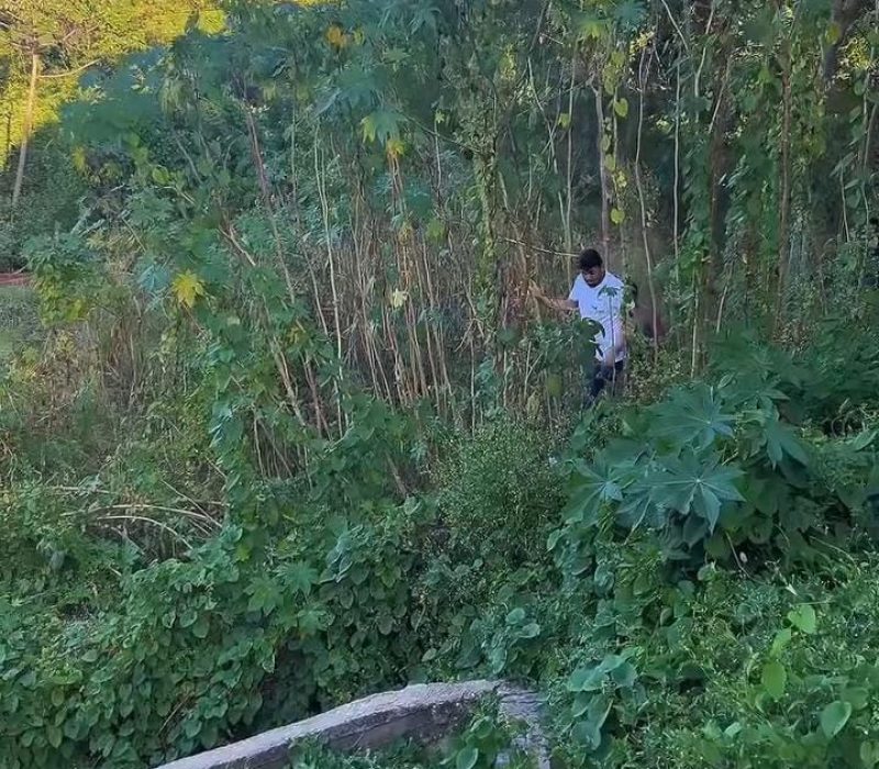 1000511631