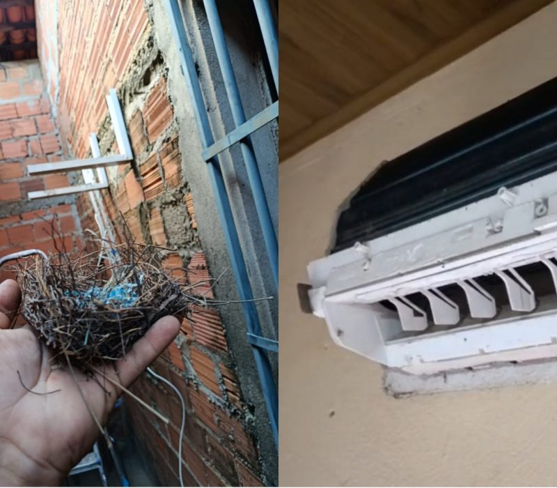 {"remix_data":[],"remix_entry_point":"challenges","source_tags":[],"origin":"unknown","total_draw_time":0,"total_draw_actions":0,"layers_used":0,"brushes_used":0,"photos_added":0,"total_editor_actions":{},"tools_used":{},"is_sticker":false,"edited_since_last_sticker_save":false,"containsFTESticker":false}