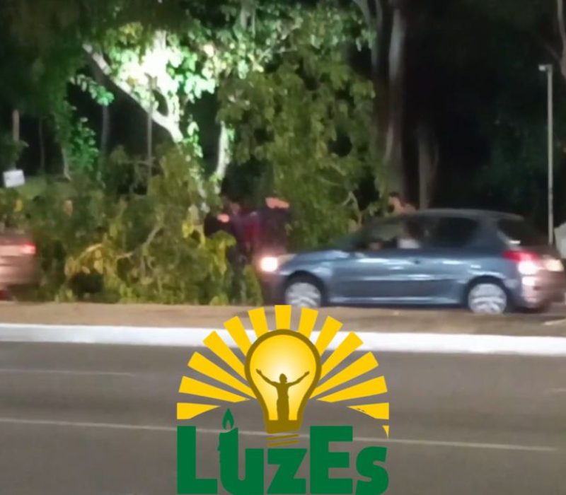 19df01f3-9696-4e92-a3a8-d1dd42a44216