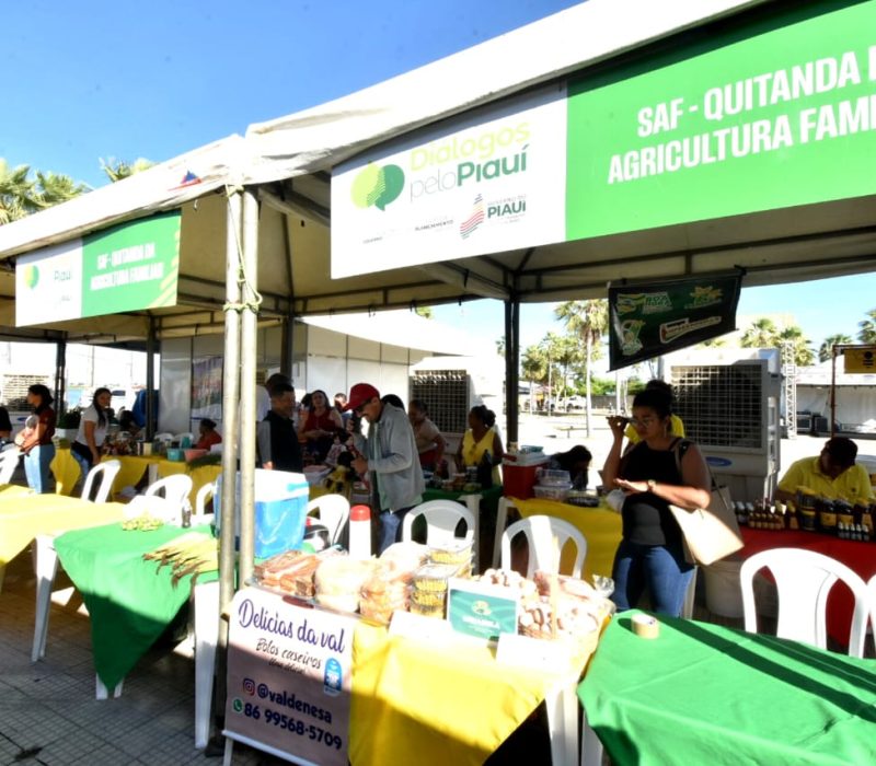 3a-edicao-Dialogos-pelo-Piaui-e-Feira-de-Negocios-em-Campo-Maior-11