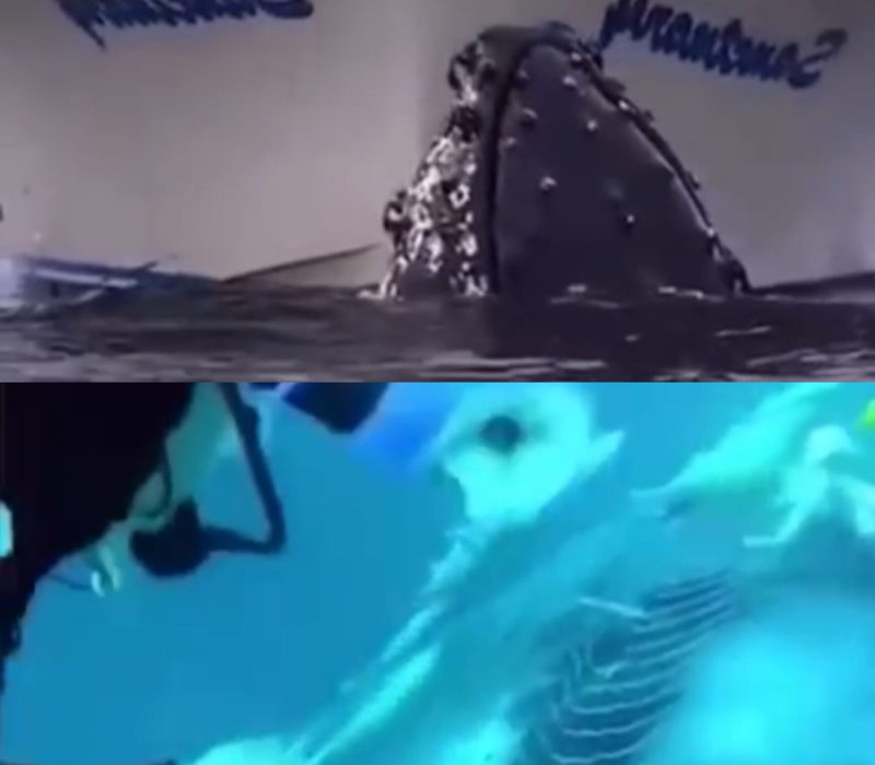 58994FFD-6BF6-4829-A7BF-3B00FF33369E