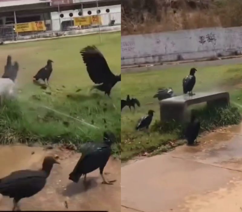 767EC101-0CD8-43A7-BE0A-0718AF94104F