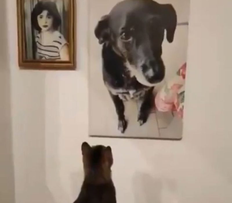 82e364ab-a283-4138-afe5-8660ae6b57de