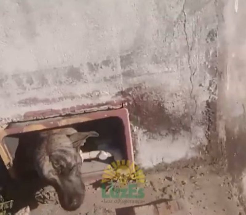 9eb95195-1291-47e6-9830-ab541c42a7af