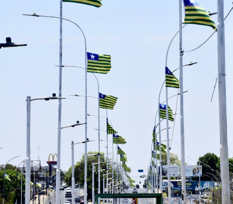 Bandeira-do-Piaui-2