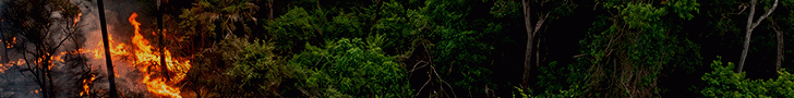 Banner queimadas -Novo-728-x90