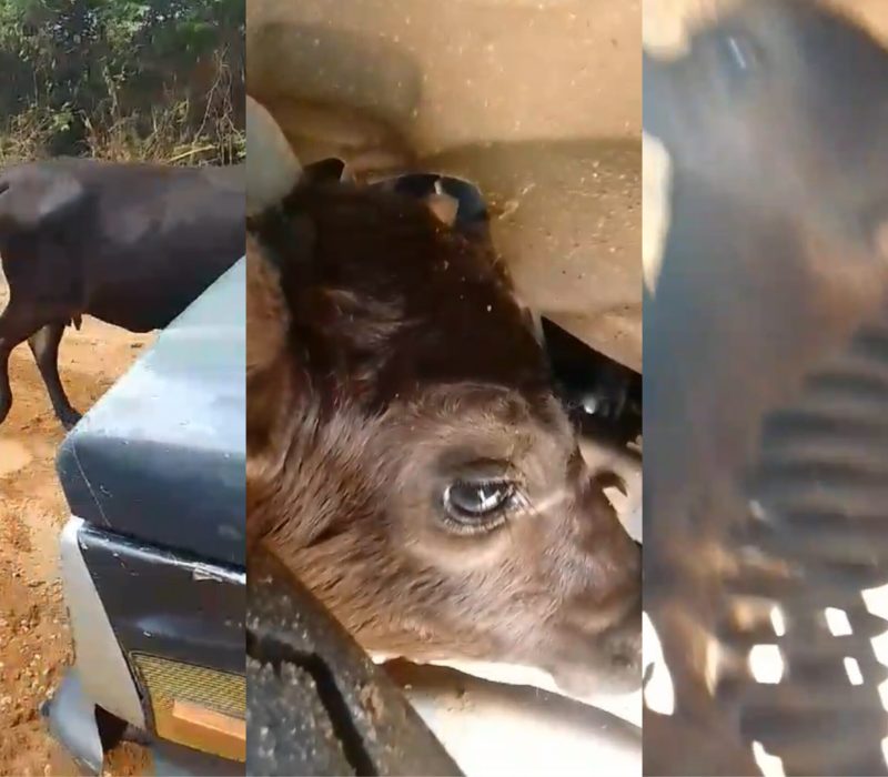 CC5987D6-D8FD-4190-8CA3-E742884B66EB