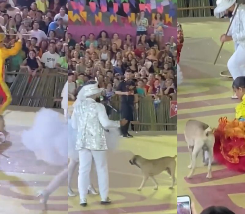 CF387D53-BD69-4F83-B618-23A5795C6AAF