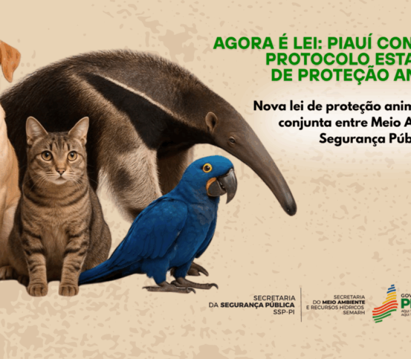 Capas-Site-Semarh-1366-x-768--1024x576