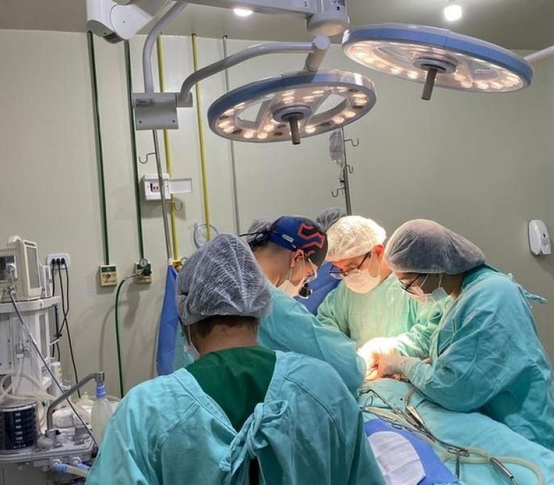 Transplante-de-orgao