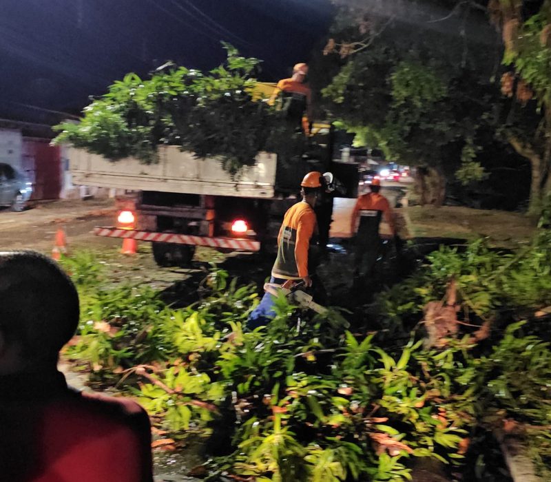 Estragos causados pelas chuvas em Teresina