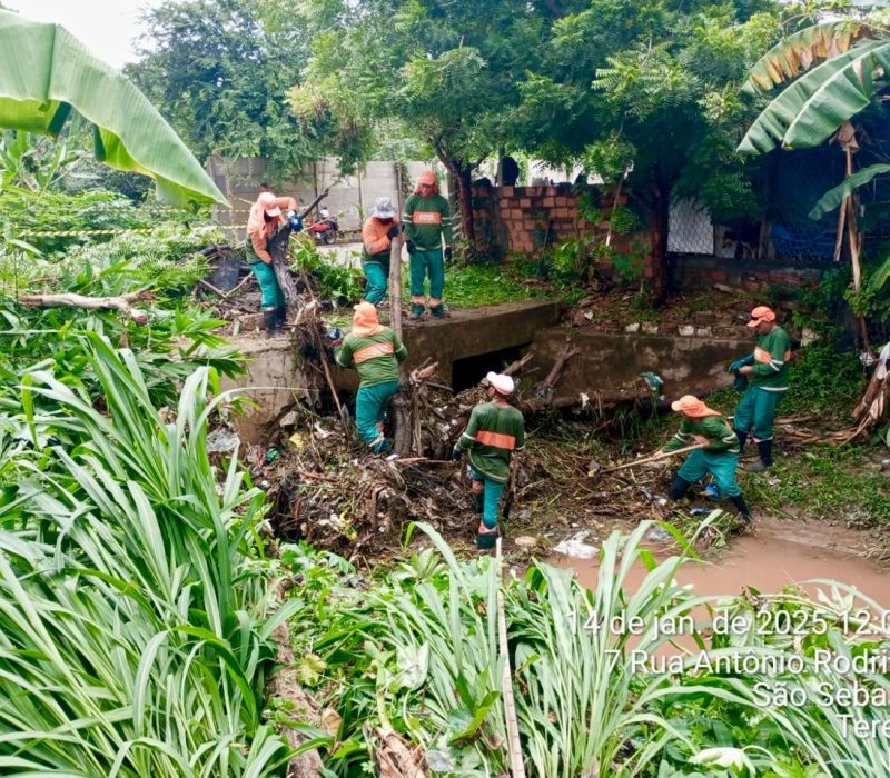 Limpeza feita pela SDU Sudeste de Teresina
