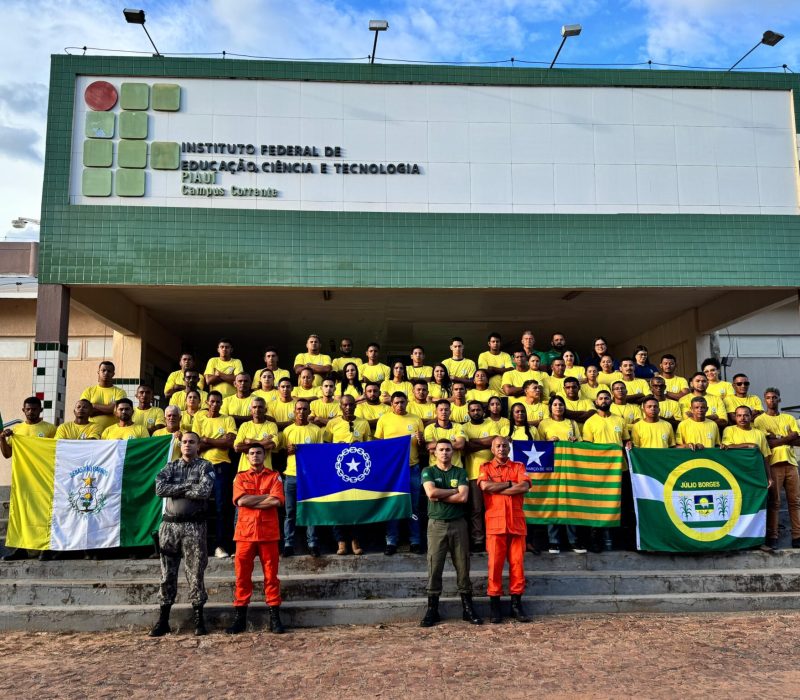 Brigadistas do Piauí