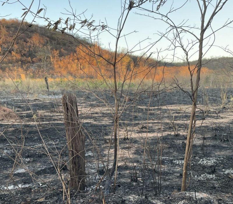 Queimadas no Piauí