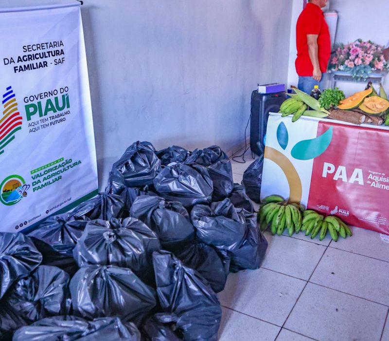 Alimentos doados pela SAF
