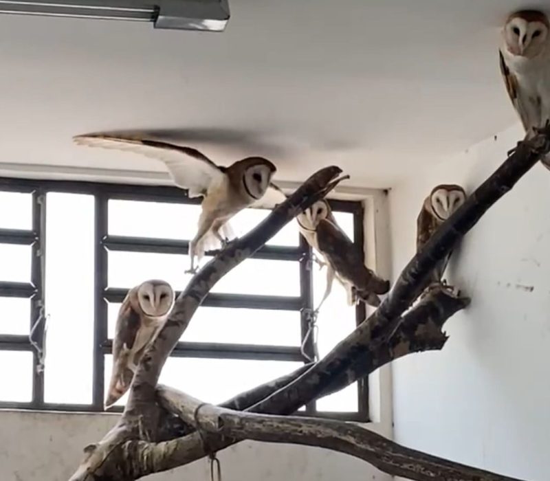 WhatsApp-Image-2025-08-12-at-12.57.00-e1755015795698