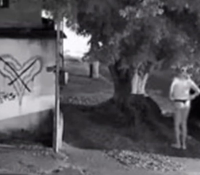 WhatsApp-Image-2025-08-13-at-11.04.47