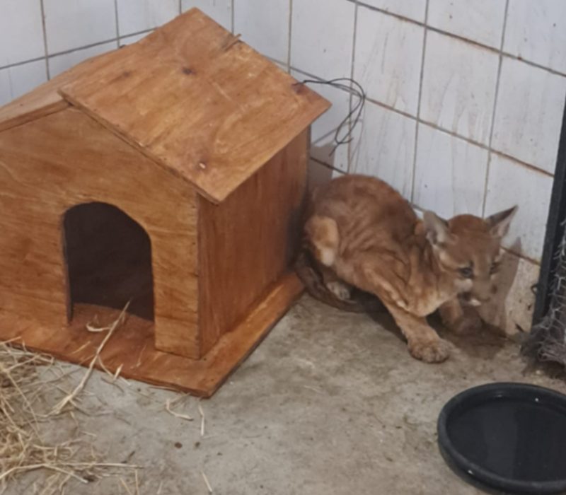 WhatsApp-Image-2025-09-01-at-15.13.18-1 (1)