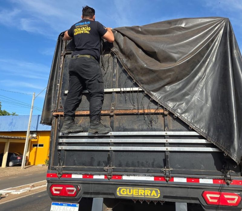 WhatsApp-Image-2025-09-05-at-10.53.50-e1757081067512