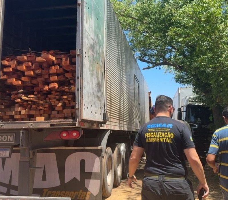 WhatsApp-Image-2025-10-31-at-08.14.03-e1761911417815