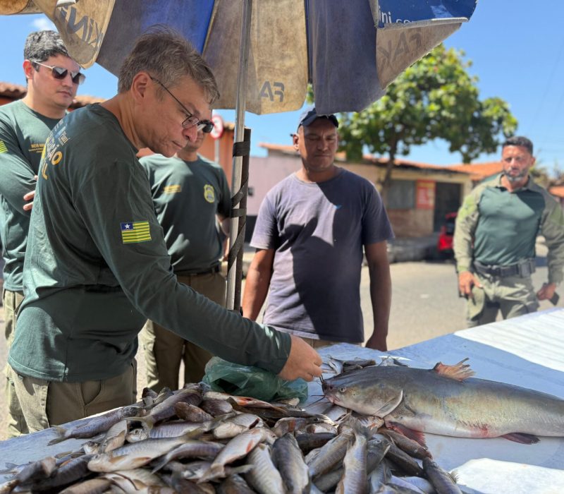 WhatsApp-Image-2026-01-05-at-09.05.02-1-2048x1536