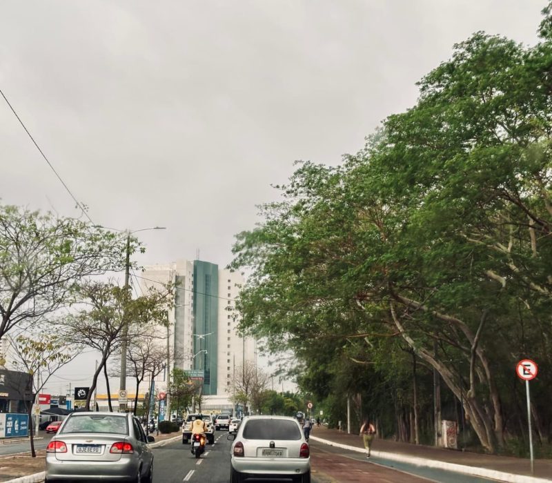 Tempo bonito pra chover