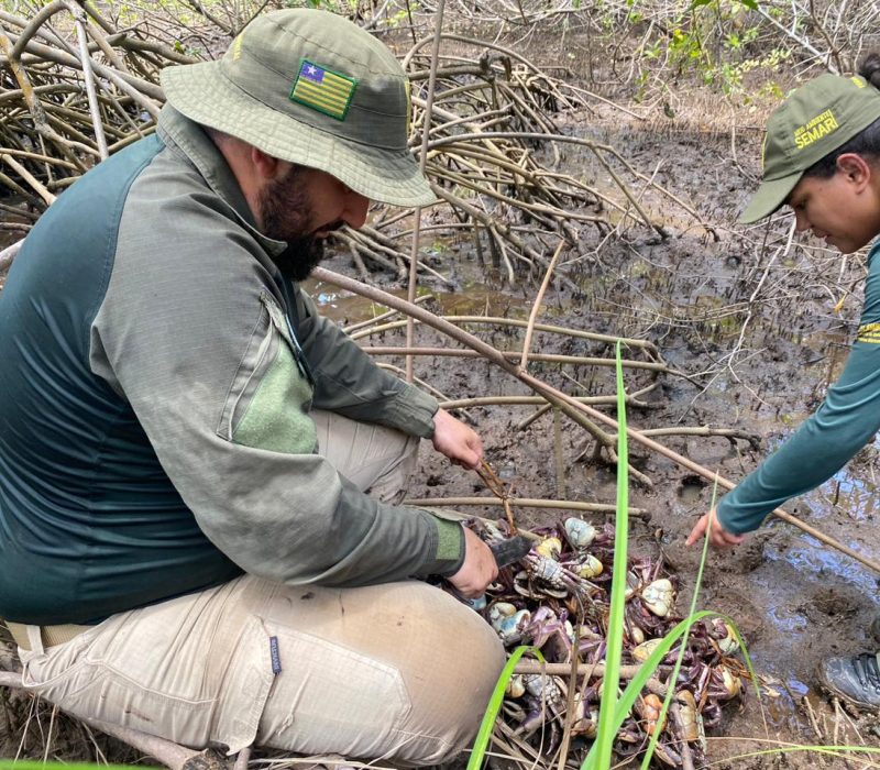 Fiscalização no período de defeso