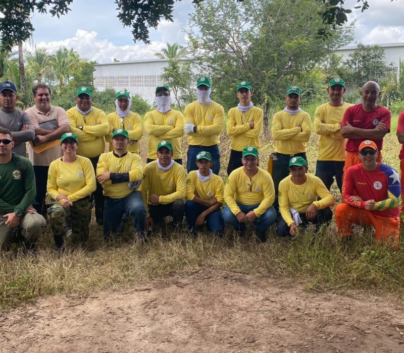 Brigadistas do Piauí