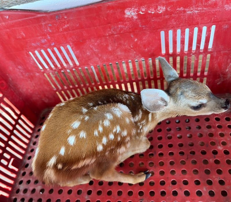 bde9f7cd-5630-42b3-9f9e-6ad54c04ef4d