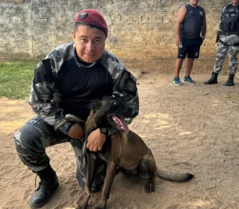 cao-policial