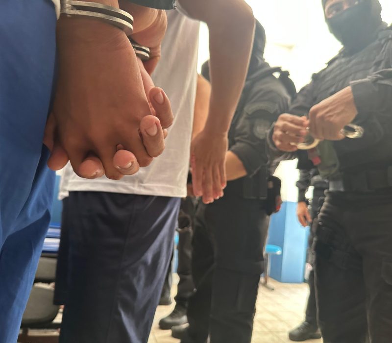 f5177bcb-20f7-419a-b54f-374cb3bf641a