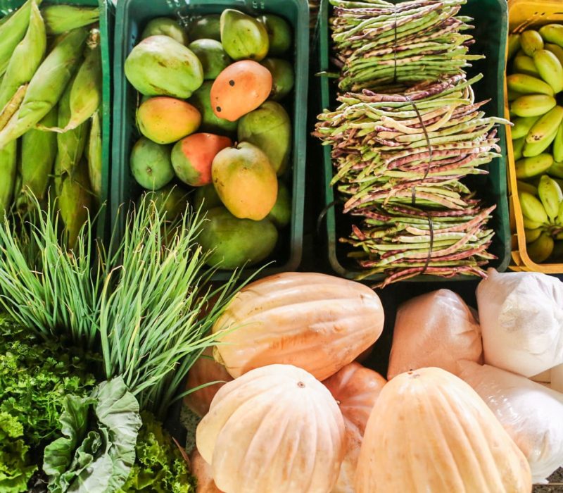 Produtos da Agricultura Familiar