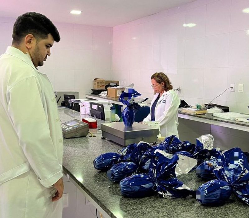 Fiscalização do IMEPI