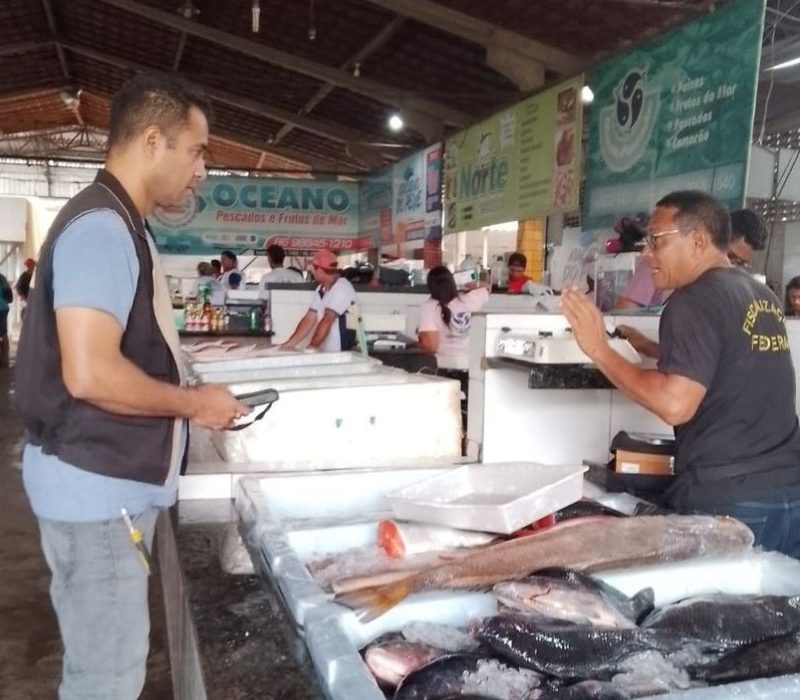 Agentes do IMEPI durante fiscalização no Mercado do Peixe