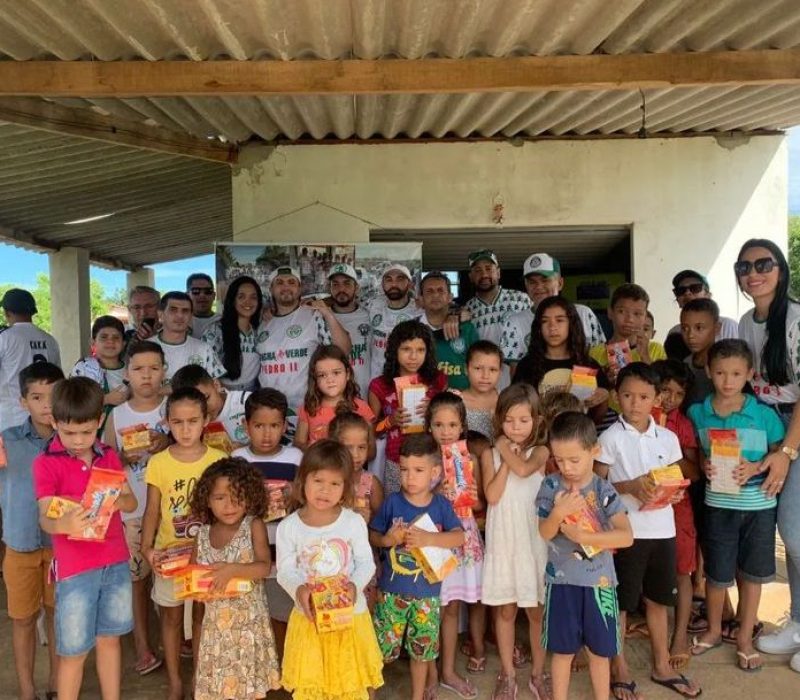 Ação da Mancha Verde em Pedro II